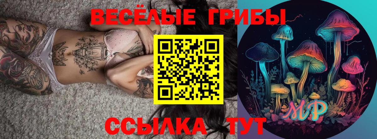 Галлюциногенные грибы Cubensis  Вход с VPN  Сосновоборск 